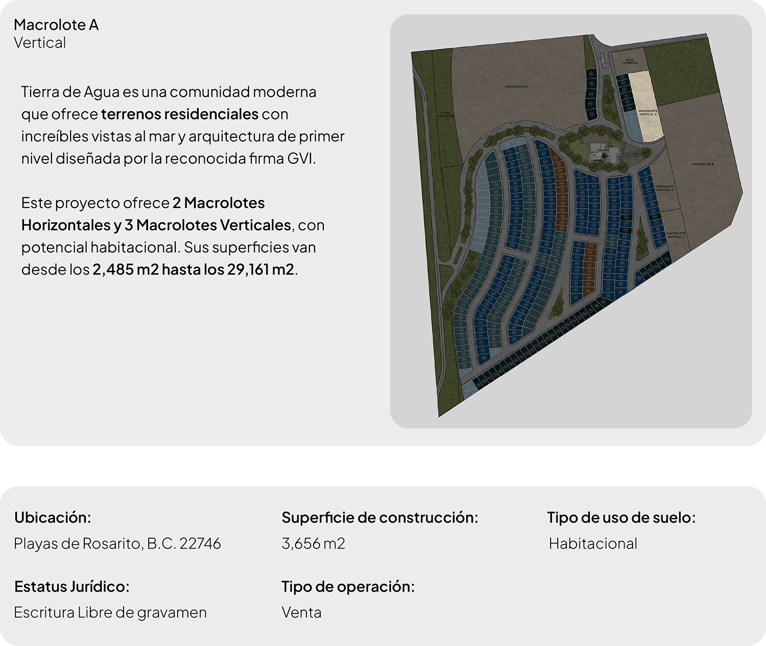Macrotes TDA-09