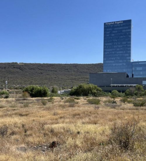 Fichas Capital Markets Nuevas-11